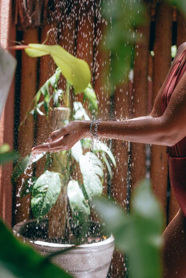 Pousada Pipa Soul Praia de Pipa Ngoại thất bức ảnh